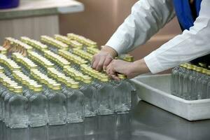 A row of glass bottles on a conveyor belt for the production of alcoholic beverages. photo