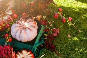 Halloween decor in a garden, autumn decor with red pumpkins photo
