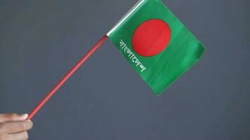 mão segurando Bangladesh bandeira video