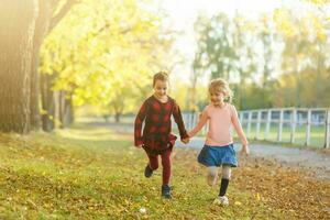 two little girls in autumn park photo