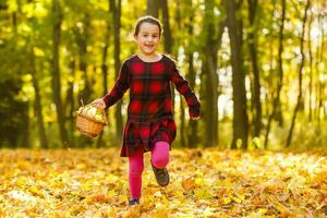 hermosa pequeño niña con otoño hojas al aire libre foto