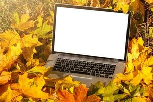 modern laptop in autumn landscape photo