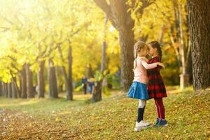 little girls measure height to each other in autumn park photo