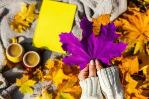 Girl holding maple leaf in autumn park photo