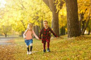 two little girls in autumn park photo