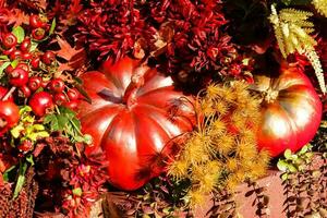 Halloween decor in a garden, autumn decor with red pumpkins photo