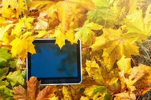 Autumn composition. Colorful leaves and tablet. photo