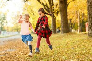 two little girls in autumn park photo