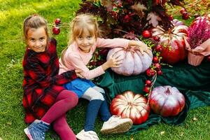 Little girls lying and playing in park. Autumn portrait of cute girl. Harvest or Thanksgiving. autumn decor, party, picnic. photo