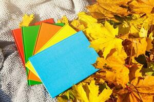 multi-colored books lie in autumn leaves. Back to school concept photo