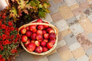 rojo maduro manzanas en bushel cestas a el agricultores mercado foto