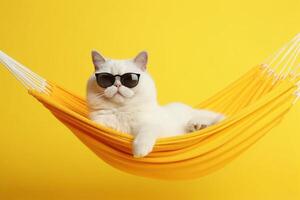 gracioso blanco gato en Gafas de sol mentiras en un tela hamaca en un amarillo antecedentes. generativo ai foto