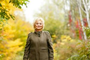 Senior citizen stroll in a park in autumn photo