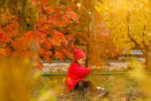 Adorable little schoolgirl studying outdoors on bright autumn day. Young student doing her homework. Education for small kids. Back to school concept. photo