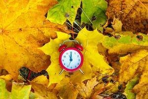 Old clock on autumn leaves on natural background photo