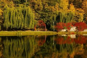 Peak Autumn reflection photo