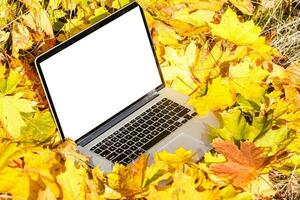 Bright maple leaf on the laptop, top view. Golden autumn background photo