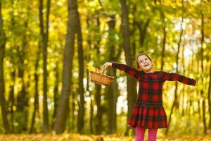 Beautiful little girl with autumn leaves outdoors photo