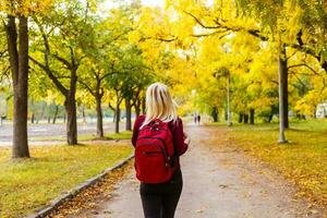 Autumn in a park, road in yellow leaves photo