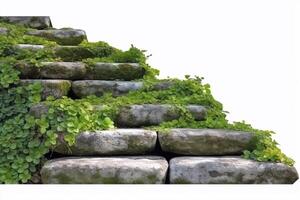 Cut out stairs made of large stone steps. Staircase lined with green plants for landscaping or garden design. Rock steps isolated on white background. Generative AI photo