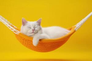 Portrait of beautiful white cat with sunglasses on yellow fabric hammock isolated on yellow background photo