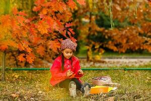 child girl schoolgirl elementary school student photo