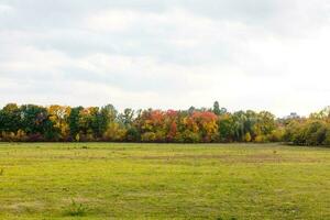 Collection of Beautiful Colorful Autumn Leaves, green, yellow, orange, red photo