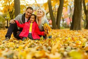 contento familia es sentado en hermosa otoño parque foto