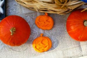 Decorative orange pumpkins on display at the farmers market. Orange ornamental pumpkins in sunlight. Harvesting and Thanksgiving concept. photo