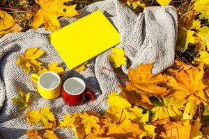 school photo book on the yellow leaves top view. rustick photo of autumn composition