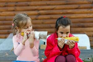 dos pequeño niña cosecha y comiendo maíz en maíz campo. agricultura concepto. foto