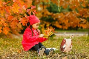 pequeño linda niña en otoño parque. Chica de escuela con un mochila.la concepto de otoño, escuela, estudiar, educación, infancia, espalda a escuela. foto
