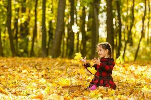 Beautiful little girl with autumn leaves outdoors photo