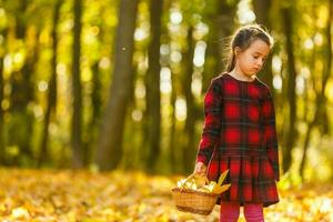 Beautiful little girl with autumn leaves outdoors photo