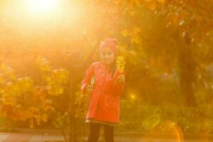 Pupil of primary school with book in hand. Girl with backpack near building outdoors. Beginning of lessons. First day of fall. photo