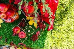 Autumn Still Life photo zone decor Ukraine Russia viburnum tree apples barrel wheel hay basket Red Orange Fall