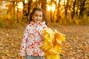 otoño temporada ocio. atmósfera de otoño. adorable sonriente Chica de escuela otoño follaje antecedentes. bueno humor. contento niño. Bienvenido octubre. unido con naturaleza. pequeño niño caminar en otoño parque. foto