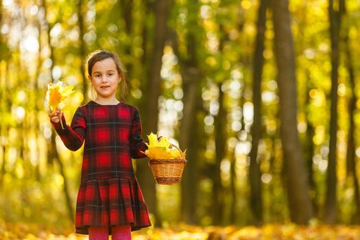 Little girl collects fallen autumn leaves. photo