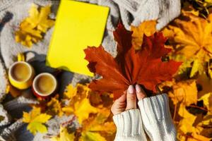 niña participación arce hoja en otoño parque foto