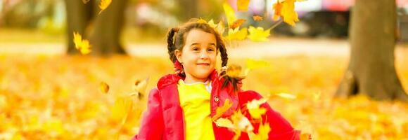 a little child playing in the leaves photo