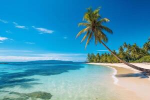 tropical paradise beach with white sand and coco palms travel tourism wide panorama background concept photo