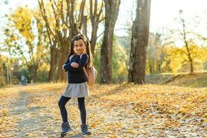 Little schoolgirl near the school. preschool child with a backpack on his first day at school or kindergarten. Back to school. Child education. autumn photo