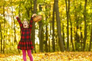 Little girl collects fallen autumn leaves. photo