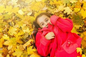 a little child playing in the leaves photo