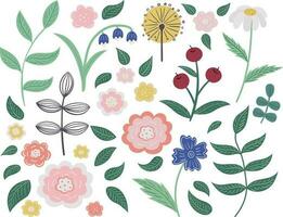 A set of flowers and plants in a flat style vector