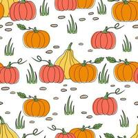 Autumn seamless pattern with pumpkin on a field with grass and pebbles vector