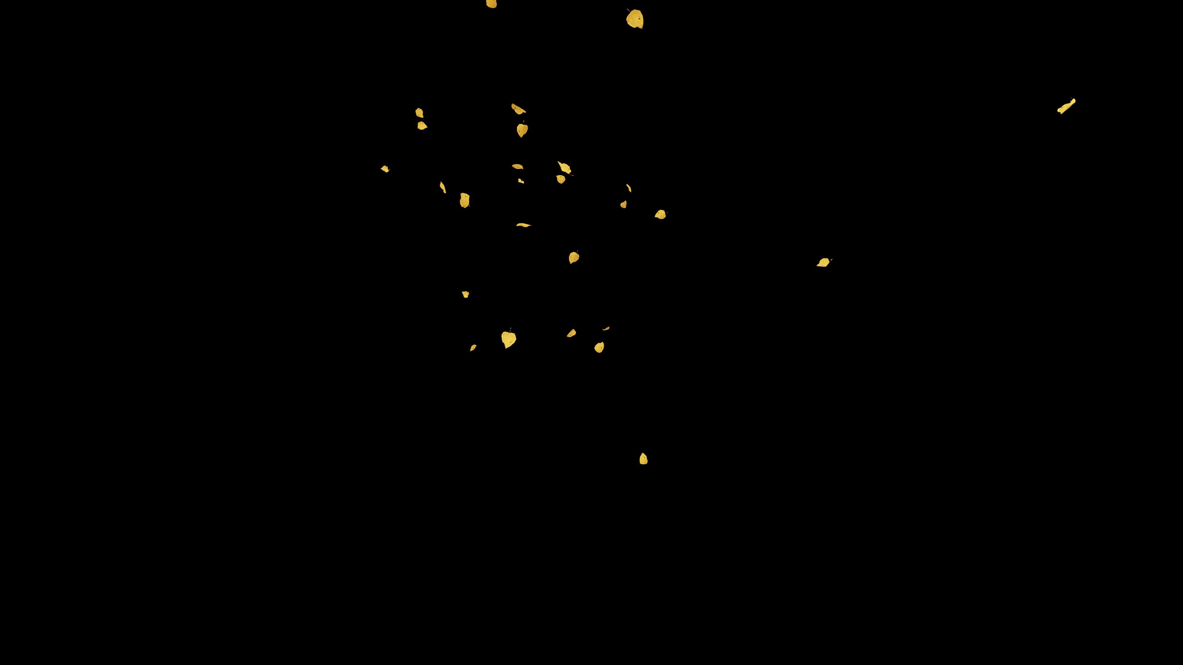 snow blossom leaf wind blow particle for video 26465872 Stock Video at Vecteezy
