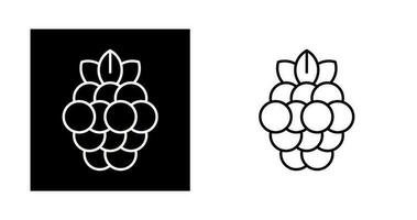 Raspberry Vector Icon