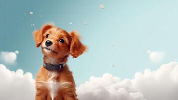 Dog, cute pet. Web banner with copy space. Generative AI photo