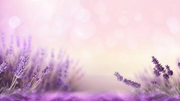 Lavender field. Web banner with copy space. photo